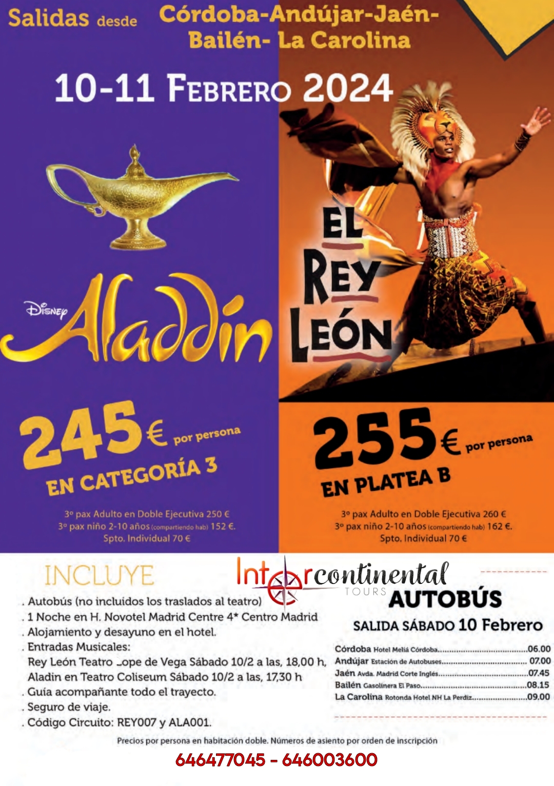Musical Rey León y Aladdín
